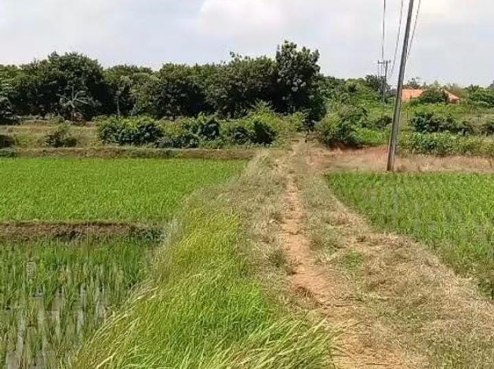 Lahan Industri Strategis Subang Smartpolitan