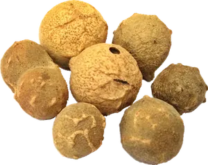 Buah Manjakani